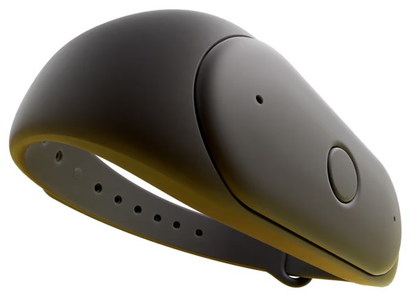 Bee AI Memory Companion - AI Companions product photo, currently $49.99