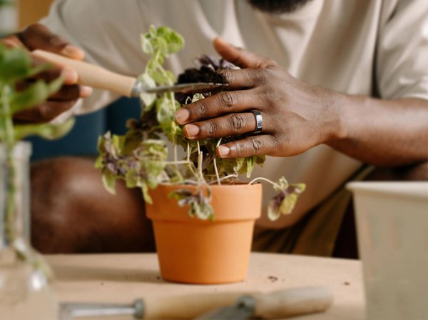 RingConn Gen 2 Smart Ring - image 3